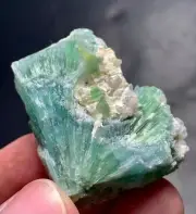 161 Carat Tourmaline Crystal Specimen from Afghanistan