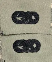 US Air Force Basic Logistics Readiness Badges (2) ABU Sew-On USAF