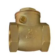 Brass Swing Check Valve - General Purpose Non Return Valve