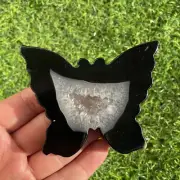 3.4" Natural Geode Agate butterfly Carved delicate Quartz Crystal black 1PC.
