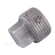 Austral Differential Or Transmission Plug - KDP3003