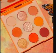 NEW Colourpop Orange You Glad Eye Shadow Palette In Box Authentic