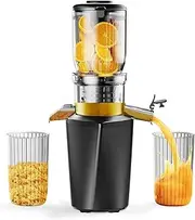 [Fyenkfar] cold press slow juicer an ideal choice for healthy drinks, retain nutrients, support a diverse diet and be safe and harmless, suitable for those who love health