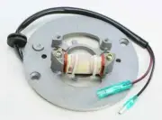 Ricks Alternator Stator Generator Yamaha Y-Zinger 80 83-94