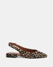 Miss Sofie Layla/Leopard Womens Flats 05