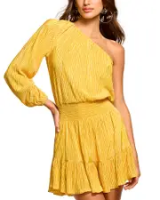 Ramy Brook Rasshi Plisse One Shoulder Mini Dress