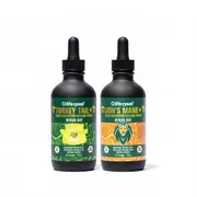 [Lifecykel] Gut/Brain Pack - Lion's Mane & Turkey Tail, 120ml