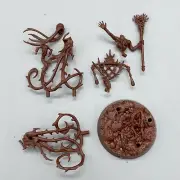 GW AoS - Sylvaneth Underworlds Ylthari's Guardians singles (6E3)