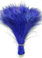 25 pcs ROYAL BLUE Bleached & Dyed Peacock Feathers 10-12" Halloween Costume
