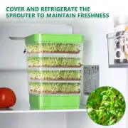 Sprout Dish Growing Tray Hydroponic Vegetable Beans Seeding Pot Gardens Alive