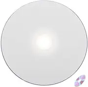 1 Set Burn Disc Professional Blank Disc Cds Music Audio Recordable Disc Cd-r CD Audio Recordable Rewritable CD Options Blank CD Discs High-Capacity Blank Cds CD Holder Plastic