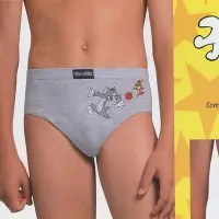在飛比找Yahoo!奇摩拍賣優惠-【西班牙Abanderado】(3103) 男童卡通三角褲(