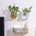 Wall-mounted Hydroponic Flower Pot Office Mini Vase