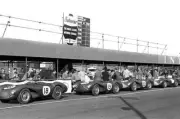 No 18 Aston Martin Db3S No 19 Salvadori Poore Aston Martin Db3S OLD PHOTO