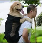 Myston hicking dog backpack New S&m dogs