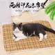 【PetBaby寵物精靈】新款犬貓咪冬夏兩用寵物窩墊 雙面可用短毛絨印花涼蓆墊