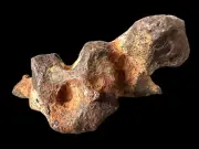 MUNDRABILLA IRON METEORITE, AUSTRALIA MT74