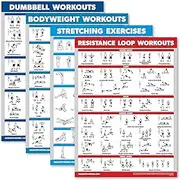 Palace Learning 4 Pack - Dumbbell Workouts + Bodyweight Workouts + Stretching Exercises + Resistance Loops - Set of 4 Workout Charts (18” x 24”, LAMINATED)