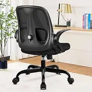 [Razzor] Office Chair, Ergonomic Computer Desk Chair with 2D Lumbar Support and Flip-up Arms, Swivel Breathable Mesh Task Chair with Adjustable Height for Home Office, RZ2203-Black