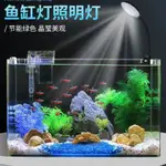 USB全光譜魚缸專用燈 魚缸照明燈  造景燈 植物生長LED燈魚缸造景擺件小夾燈 水草燈專業