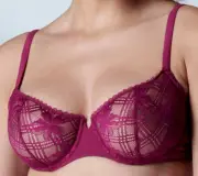 Simone Perele Victoire Demi Underwire Bra 36DD EU 80E Fr 95E Syrah $95 NWT