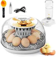 Egg Incubator for Hatching Chicks, Automatic Egg Turner Holds 12 Eggs, Smart Incubator 360° Clear Window with Temperature Display, Incubate Candler for Small Poultry Chickens Ducks Quails