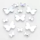 Decorative Big Wing Butterfly Bundle Mirrors (Several Colours & Sizes Available)