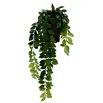 [James Lane] Hoya Locust Bush Daylen Pot Black & Green - 20cm x 20cm x 25cm