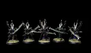 Warhammer 40K Incubi Xenos Armies Dark Eldar painted Miniatures free shipping