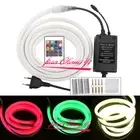 220V 5050 RGB LED Neon strip Light Waterproof Flexible LED Rope+20Key Controller