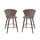 HomeStar Set of 2 Calliope Velvet Fabric Modern Kitchen Counter Bar Stool - Grey