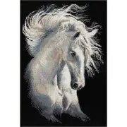Cross-stitch kit Character Andalou 1451 Riolis