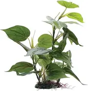 Fluval Anubias Plant for Aquarium, 12-Inch