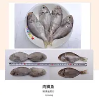 在飛比找蝦皮購物優惠-冷凍肉鯽魚（肉仔魚）