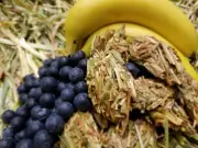 I'm Your Bunny Rabbit Treat Banana Blueberry & Oaten Hay Krispy Krumble (12Pce)