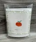 PATRICIA STONE HAND PAINTED NEEDLEPOINT CANVAS / FRAME KIT STITCH IT! PUMPKIN