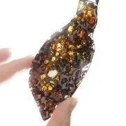 205CT Seymchan pallasite Meteorite SLICE From Russia TA724