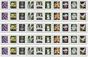 USPS Wild Orchids Flowers Forever Stamps Postal First Class US Postage Stamps Birthday Wedding Celebration Engagement Anniversary Bridal Shower (Strip of 50)