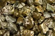 1 lb Panther Jasper Rough Stones-Natural Crystal Mineral Rock Specimens Tumbling