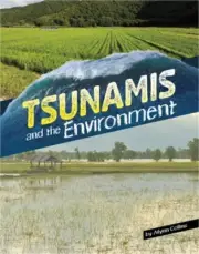 Tsunamis and the Environment (Hardback or Cased Book)