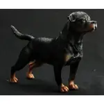 【那間模型】羅威那犬 ROTTWEILER 大號 站姿 德國羅威那犬 仿真動物 寵物狗 模型 擺飾