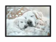 Dog Cute Baby Framed Print Fine Art Poster Print