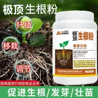 在飛比找蝦皮購物優惠-生根粉 生根劑 生根專用 髮根粉 壯根劑 生根必備 強力生根
