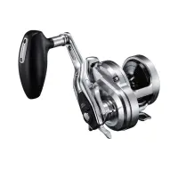 在飛比找蝦皮購物優惠-SHIMANO 21 OCEA JIGGER 2000 NR