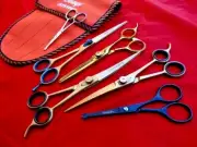 Colored_6 x PET Grooming Scissors,Thinning & Curved_dog/cat+Ear/Nose Scissors