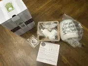 NEW Wall Plug-in NIB Scentsy To The Beach And Back Mini Wax Melt Warmer
