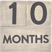 Pearhead Wooden Milestone Age Blocks, Gender-Neutral Baby Accessory for Photo Sharing, Weekly, Monthly, Year and Grade Growth Markers, Distressed Gray