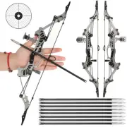 16" Mini Compound Bow Kit 16lbs Archery Arrows Pocket Bow Game Target Hunting