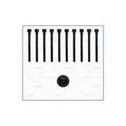 Austral Cylinder Head Bolt Set - 81042800