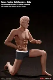 1/6 Tbleague PL2015-M31 Male Flexible Seamless Muscular Body Toy Fit 12" Figure